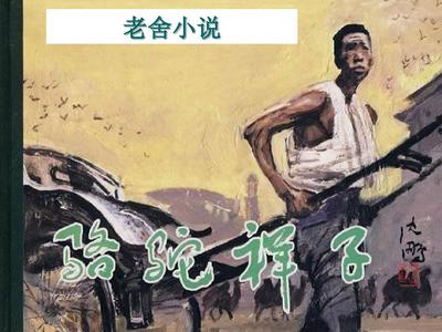 白虎免费观看全集